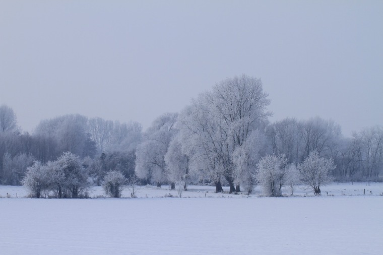 Mont-de-l'Enclus sous la neige - photo de Stephan Speleers, 1er prix du concours de photographies de 2014