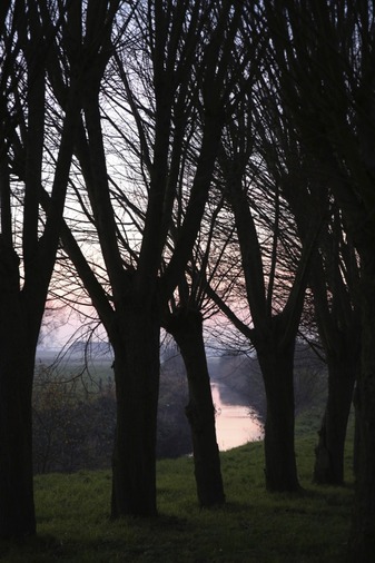 Vue du cours d'eau (la Rhosnes) et ses abords - photo de Stephan Speleers, 1er prix du concours de photographies de 2014