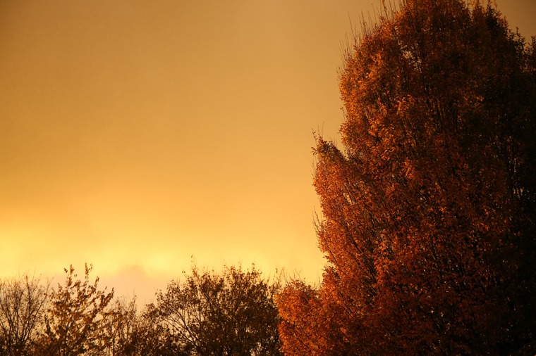 Soleil couchant sur la commune de Mont-de-l'Enclus - photo de Stephan Speleers, 1er prix du concours de photographies de 2014