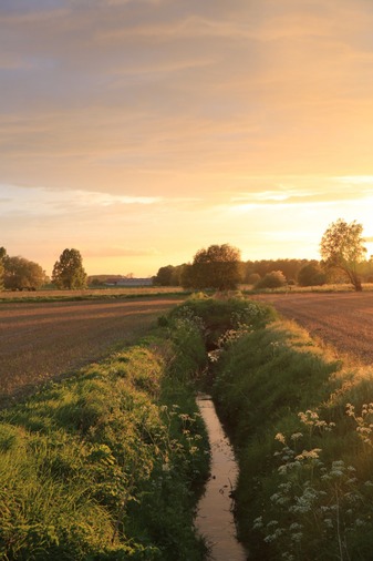 La Rhosnes sous le soleil couchant - photo de Stephan Speleers, 1er prix du concours de photographies de 2014