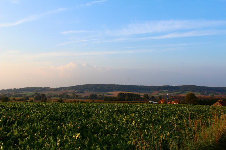 Champs de l'Enclus du bas - photo de Charlotte Speleers, 2ème prix du concours de photographies de 2014