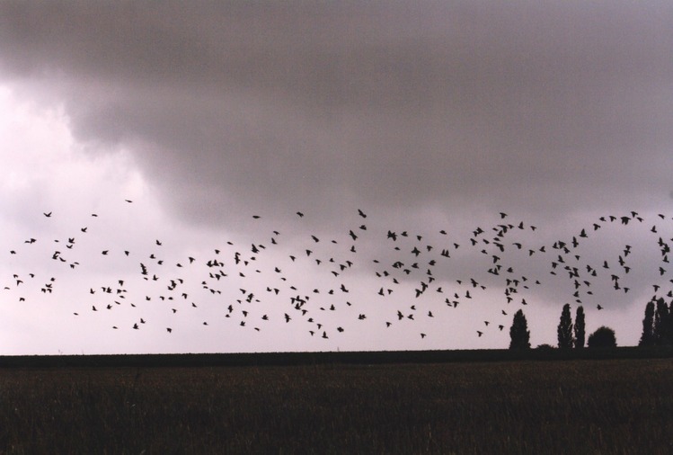 Envolée sauvage dans les prés enclusiens - photo de Marie Delforge, 3ème prix du concours de photographies de 2014