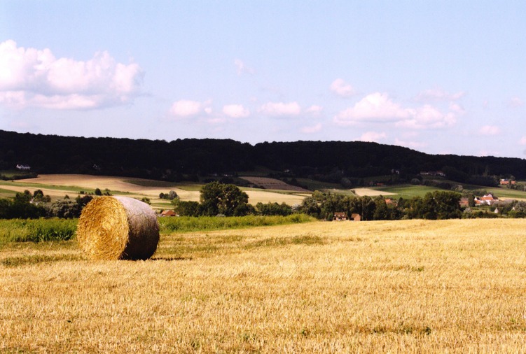La moisson dans les champs de l'Enclus du bas - photo de Marie Delforge, 3ème prix du concours de photographies de 2014