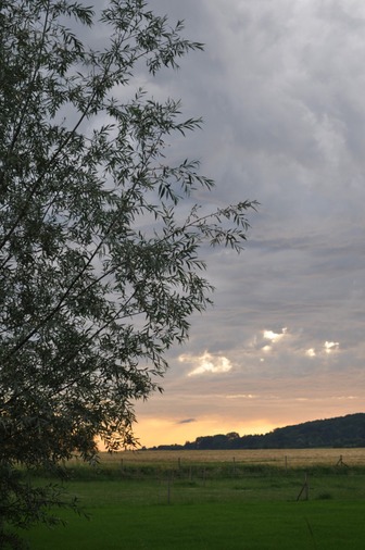 Vue de prairies au soleil couchant dans l'Enclus du bas - photo de Simone Guerre, 4ème prix du concours de photographies de 2014