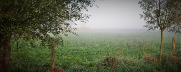 Brume sur les hauteurs enclusiennes - photo de Simone Guerre, 4ème prix du concours de photographies de 2014