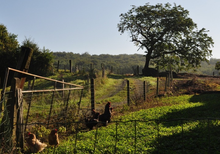 Petite fermette à Orroir - photo de Simone Guerre, 4ème prix du concours de photographies de 2014