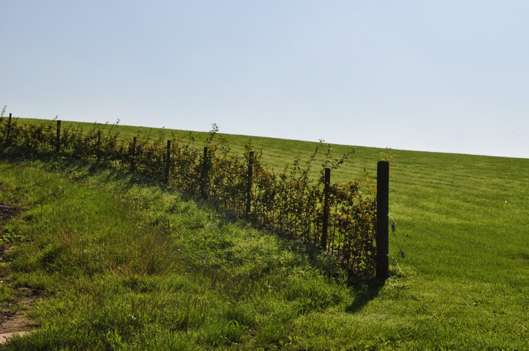 Prairie enclusienne dévorant l'horizon - photo de Simone Guerre, 4ème prix du concours de photographies de 2014