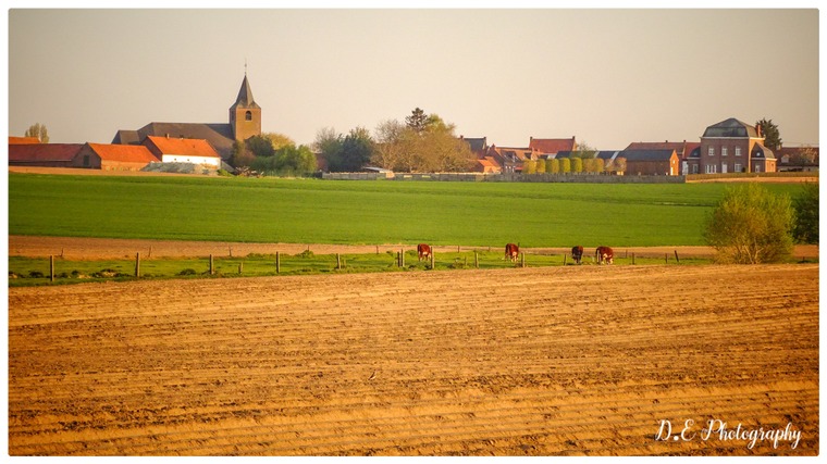 Eric-DEPOORTER-photo-Mont-de-lEnclus-4.jpg