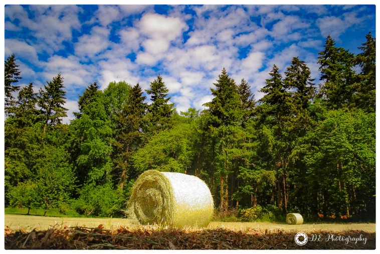 Eric-DEPOORTER-photo-Mont-de-lEnclus-6.jpg