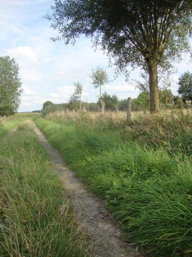 Carrière vers le bois de Capron (Russeignies) - photo de Ghislain Lottin