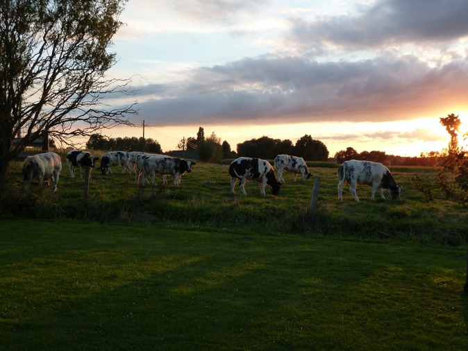 Prairie enclusienne au soleil couchant - Photo d'Isabelle Pardo