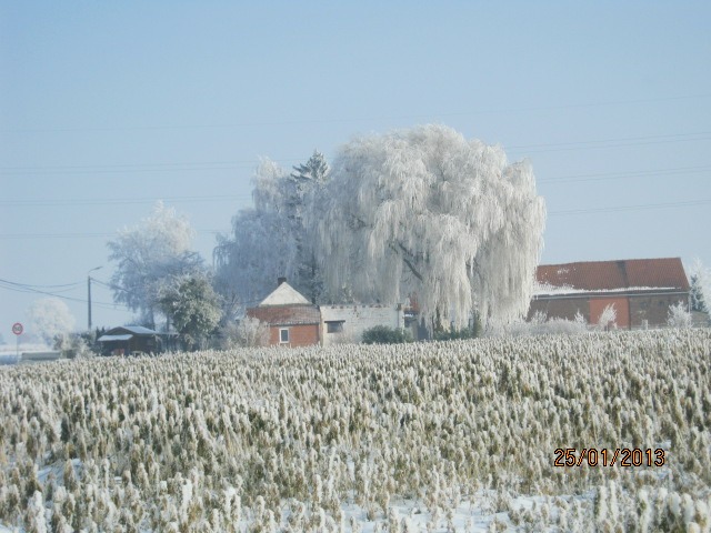 Givre hivernal de 2013 sur les hauteurs enclusiennes - Photo de Patrice De Witte