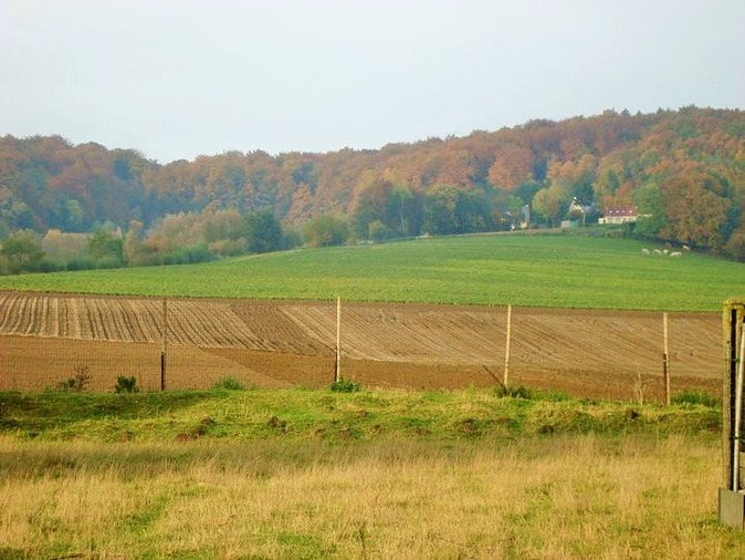 Vue des champs bordant les forêts enclusiennes - Photo d'Yvette Rabo