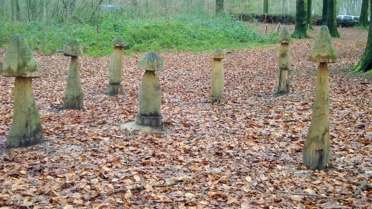 Champignons sculptés décorant les bas-forêts de l'Enclus du Haut - Photo d'Yvette Rabo
